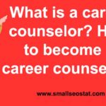 What is a career counselor