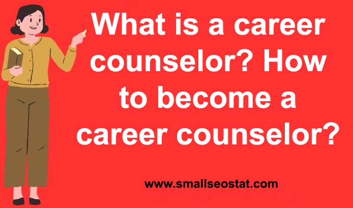 What is a career counselor